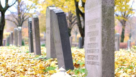 Lápidas-Y-Hojas-Secas-De-árboles-Esparcidas-En-El-Cementerio-De-Kviberg,-Gotemburgo,-Suecia---Primer-Plano