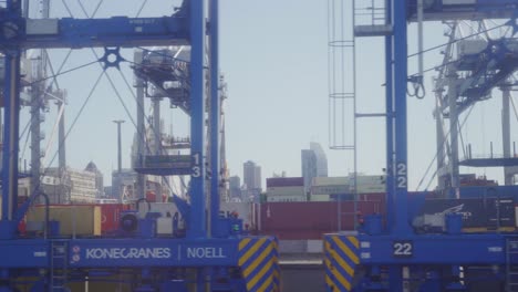 Branchenführende-Hafencontainerfracht-Automatisierte-Roboterkräne-Auckland-Neuseeland