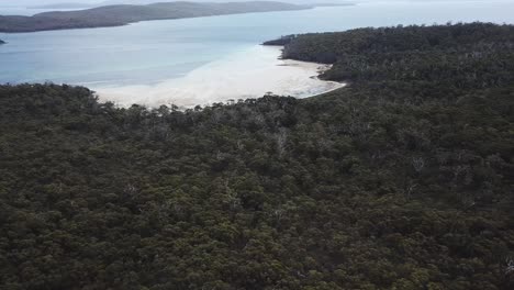 Drone-footage-tilt-up-green-island-beach