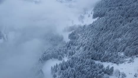 Aerial-dolly-shot-of-a-forest-covered-in-snow-in-cloudy-weather-in-the-swiss-alps