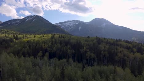 Eine-Drohne-Fliegt-über-Die-Espen-Und-Immergrünen-Bäume-Im-American-Fork-Canyon-In-Der-Nähe-Des-Mount-Timpanogos