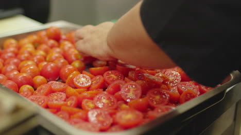 Woman-hands-cutting-tomatoes