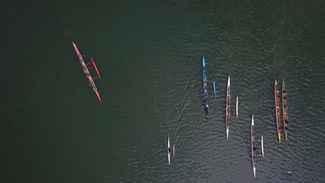 Aerial-view-above-group-of-colourful-rowing-team-boats-moving-through-green-lake-water-together