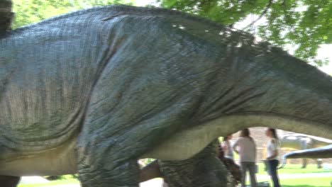 Realistischer-Tricheraptus-Dinosaurier-Im-Schwanz-Und-Körper-Des-Dino-Parks