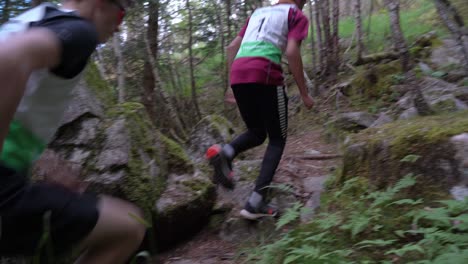 Zwei-Sportler-Laufen-Einen-Steilen-Hügel-Hinauf,-Einen-Moosigen-Wald,-Norwegen