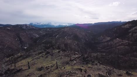 Colorado---Kiefernwald-Betroffen-Durch-Seuche,-Feuer-Und-Abholzung-In-Den-Rocky-Mountains-Mit-Zwei-Menschen-Im-Vordergrund