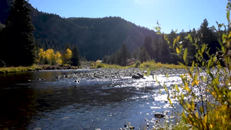 stream-in-the-Rocky-Mountains-fall-colors