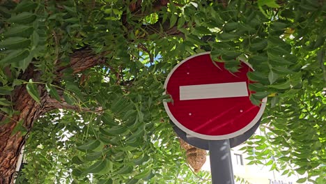 Ein-Verkehrsschild-„Einfahrt-Verboten“,-Versteckt-Hinter-Den-Blättern-Der-Bäume-In-Den-Vereinigten-Arabischen-Emiraten
