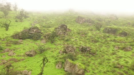 This-is-an-awesome-aerial-footage-of-the-Lomas-de-Lachay-in-Per?