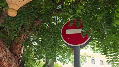 Ein-Verkehrsschild-Versteckt-Hinter-Den-Blättern-Der-Bäume-In-Den-Vereinigten-Arabischen-Emiraten