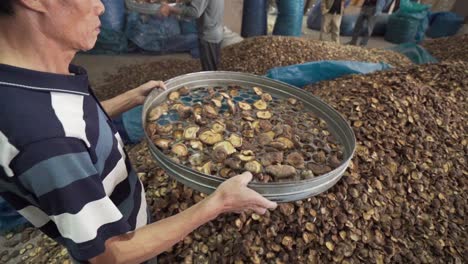 Mann-Sieben-Pilze-Auf-Dem-Markt-In-China