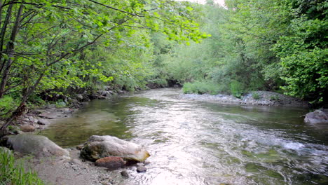 Wild-river-in-the-forest