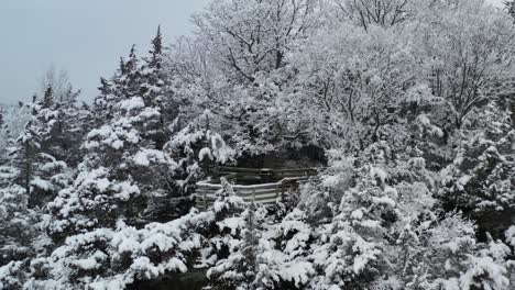 Winterwunderland-Waldluftaufnahme,-Die-Von-Einer-Schneebedeckten-Aussichtsplattform-Herabsteigt