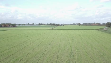 Disparo-De-Un-Dron-Sobrevolando-El-Campo-Agrícola-Verde-En-Los-Países-Bajos
