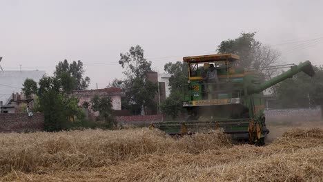 Indischer-Bauer-Fährt-Erntemaschine-Auf-Einer-Weizenernte,-Urbane-Landwirtschaftsmethoden,-Agrarindustrie-Nutzt-Technologie