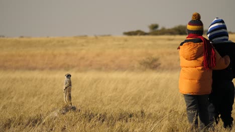 Two-young-children-encounter-a-small-meerkat-on-a-family-friendly-safari-holiday-to-the-Makgadikgadi-Pan-in-Botswana
