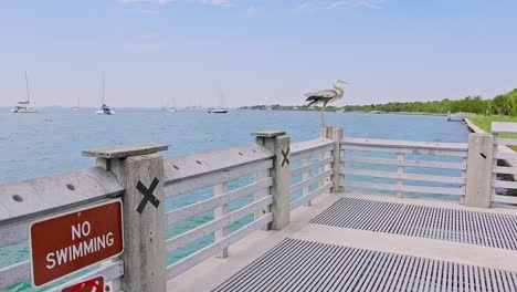 Pelikan-Auf-Einem-Pier-Tagsüber-Florida-Key-Biscayne