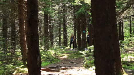 Eine-Gruppe-Von-Männern-Und-Frauen-Wandert-Auf-Dem-Huckleberry-Trail-Im-Nationalen-Erholungsgebiet-Spruce-Knob-Seneca-Rocks-In-West-Virginia
