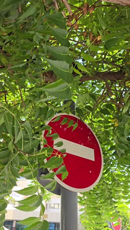 A-traffic-sign-hidden-behind-the-leaves-of-the-trees