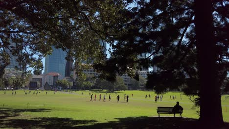 A-male-office-worker-is-watching-a-friendly-soccer-game-under-a-shade-during-lunch-break-in-a-park