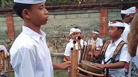 Niños-Balineses-Tocando-Música-Tradicional-Gamelan-Angklung-Instrumentos-De-Bambú-Ubud-Vistiendo-Ropa-Blanca-Tradicional-Para-La-Ceremonia