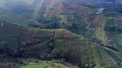 Terrazas-De-Plantaciones-Panyaweuyan-Bordeadas-De-Cultivos-Agrícolas-Abrazando-Las-Laderas-Volcánicas-Del-Paisaje-De-Indonesia