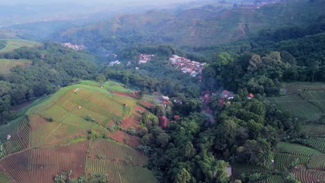 Panyaweuyan-plantation-with-remote-town-nestled-in-the-terraced-agriculture-farm-crops,-Indonesia-landscape