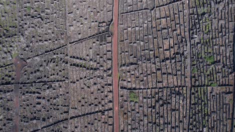 Paisagem-da-Cultura-da-Vinha-da-Ilha-do-Pico