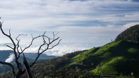 Paisaje-De-Cráter-Blanco-Sobre-Las-Nubes,-Cráter-Blanco,-Indonesia