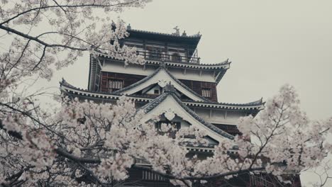 Kirschbaum-Blüht-Vor-Der-Burg-Von-Hiroshima-In-Hiroshima,-Japan