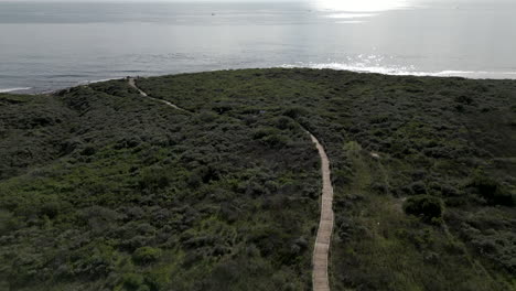 Drone-Flying-Over-Beach-Pathway-Crystal-Cove-State-Park