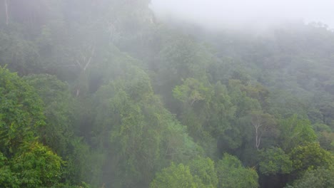 Kolumbianische-Wildnis,-Nebliger-Regen-über-Dichtem-Dschungel