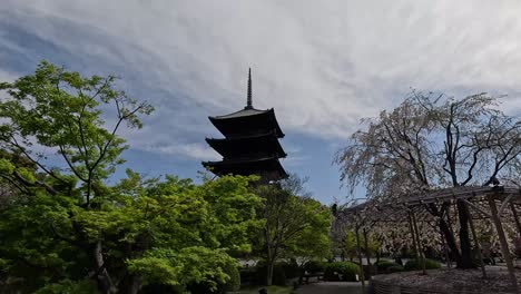 Pagoda-De-Cinco-Pisos-Con-Vegetación-Y-Cerezos-En-Flor-En-El-Templo-To-ji-En-Kioto,-Japón