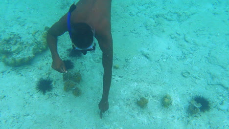 Man-diving,-pointing-at-starfish-in-the-Indian-Ocean,-Nungwi,-Zanzibar,-Tanzania