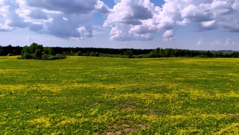 A-Scenic-Landscape-of-Lush-Greenery-in-Skujene,-Latvia,-Europe---Drone-Flying-Forward