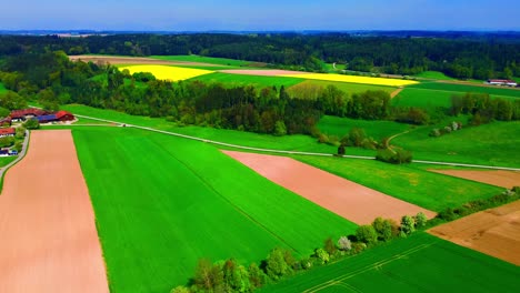 Luftaufnahme-Von-Leuchtend-Gelben-Blumenfeldern-Und-Grünem-Ackerland-Mit-Bewaldeten-Rändern