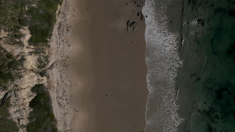 Drone-Volando-Sobre-La-Costa-De-La-Playa-Parque-Estatal-Crystal-Cove