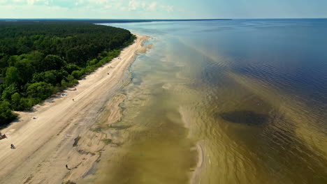 Luftaufnahme-Einer-Drohne-Von-Oben-Nach-Unten,-Die-An-Einem-Sonnigen-Tag-über-Einem-Kiefernwald-Am-Meer-In-Jurmala,-Lettland,-Fliegt