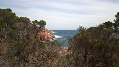 Handheld-travelling-shot-of-coastline-at-Costa-Brava-in-Catalonia,-Spain,-views-of-the-mediterranean-rocky-shore-between-the-trees