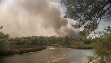 Incendio-En-Un-Pantano-De-Cinco-Millas-En-El-Condado-De-Santa-Rosa-Desde-Mayo-De-2020