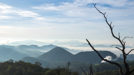 White-crater-landscape-above-the-clouds,-Kawah-Putih-morning-sun