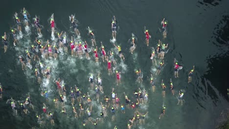 Swimmers-churn-the-lake-from-a-top-down-camera-angle