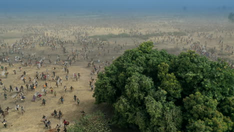 Thousands-of-people-in-Kebbi-State-of-Nigeria-run-to-the-river-and-plunge-in-river-during-the-Argungu-Fishing-Festival---aerial-view