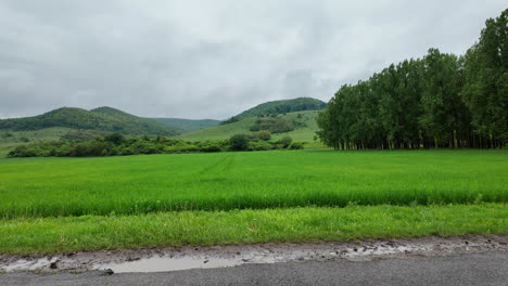 Panoramic-May-Countryside-with-Sideward-Camera-Glide