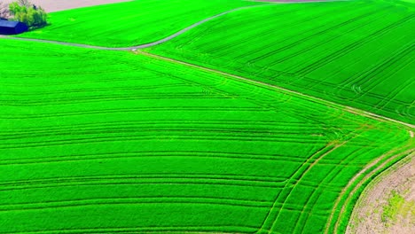 Leuchtend-Grüne-Landwirtschaftliche-Felder-Mit-Erntemustern-Aus-Der-Luft