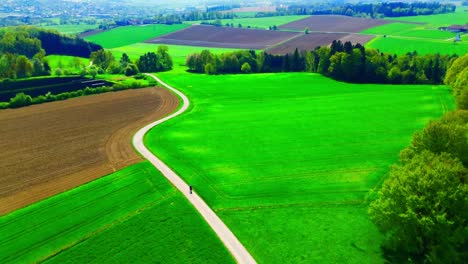 Aerial-View-of-Serene-Countryside-Road-Winding-Through-Lush-Green-Fields-and-Farmlands