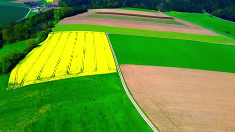 Vista-Aérea-Del-Vibrante-Campo-De-Flores-Amarillas-En-Medio-De-Tierras-De-Cultivo-Verdes-Y-Marrones