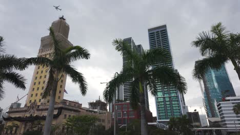 Las-Palmeras-Se-Balancean-Frente-A-Los-Modernos-Rascacielos-En-El-Centro-De-Miami-En-Un-Día-Nublado.