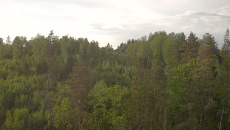 Drone-Volando-Hacia-Una-Pequeña-Cabaña-Roja-En-Medio-De-Un-Bosque-Sueco