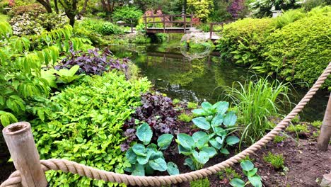 Ireland-Epic-locations-Japanese-garden-pond-with-bridge-Powerscourt-Wicklow